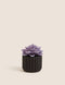 Artificial Mini Succulent in Concrete Pot